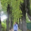 Илья Луис