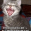 Ян Кныш