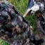 Дима Степанов