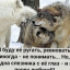 Артур Дрёмин