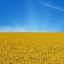Виталий Бережной