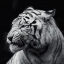Alexey S