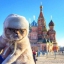 Николай Дружинин