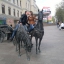 Екатерина Вовк