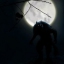 Midnight Moonlight
