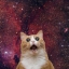 Кошкин Рот