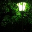 Sunrise In-Night