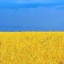 Александр Коваль