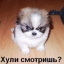 Виталий Сергеев