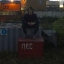 Глеб Басков